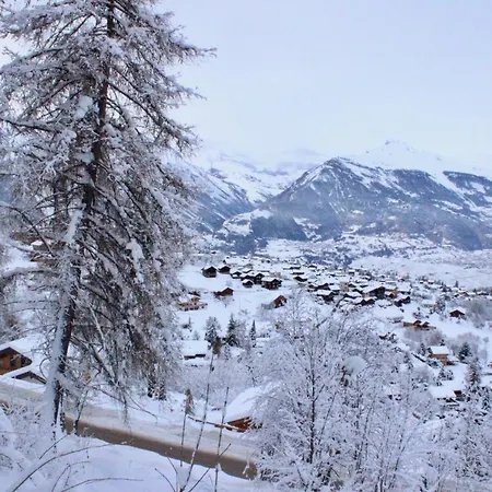 Pracondu Renove Outdoor & Fun Superieur 1 6 Personnes Nendaz