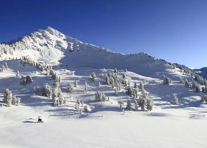 Apartamento Pracondu 2 305 - Outdoor & Fun Charming *