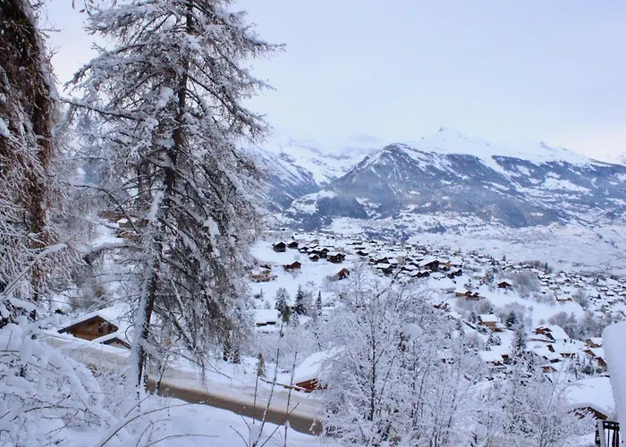 Pracondu 2 305 - Outdoor & Fun Charming Nendaz